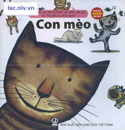 Phần mềm dành cho TV huyện và trường học