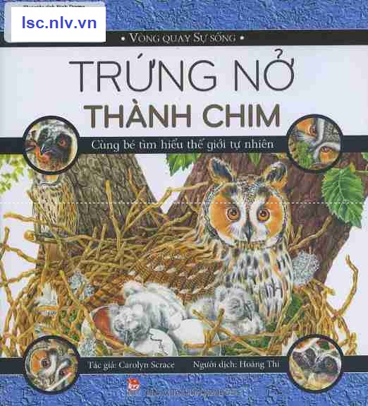 Phần mềm dành cho TV huyện và trường học