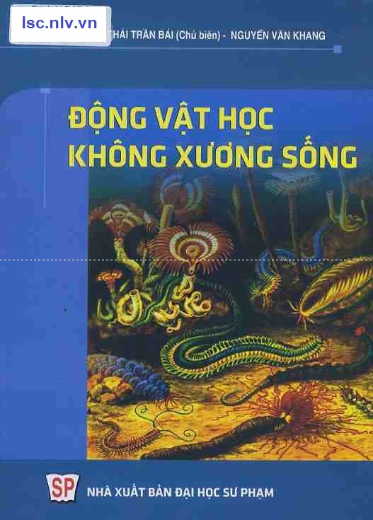 Phần mềm dành cho TV huyện và trường học