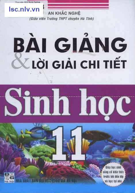 Phần mềm dành cho TV huyện và trường học