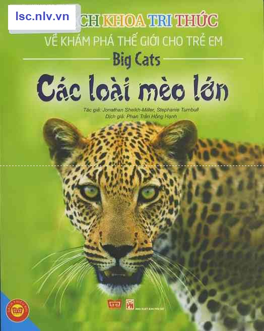 Phần mềm dành cho TV huyện và trường học