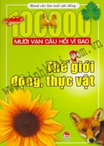 Phần mềm dành cho TV huyện và trường học